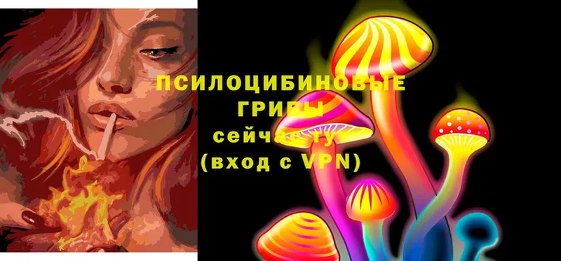 Псилоцибиновые грибы Psilocybine cubensis  даркнет телеграм  Ивдель 